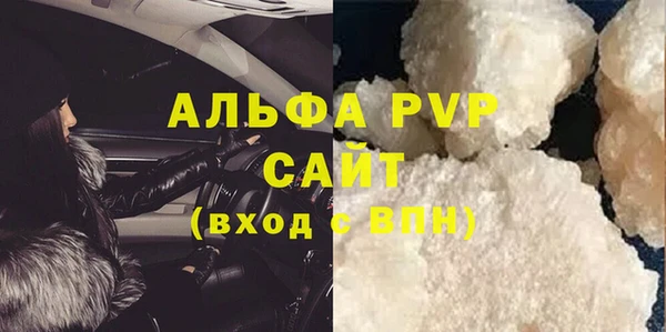 стафф Арсеньев