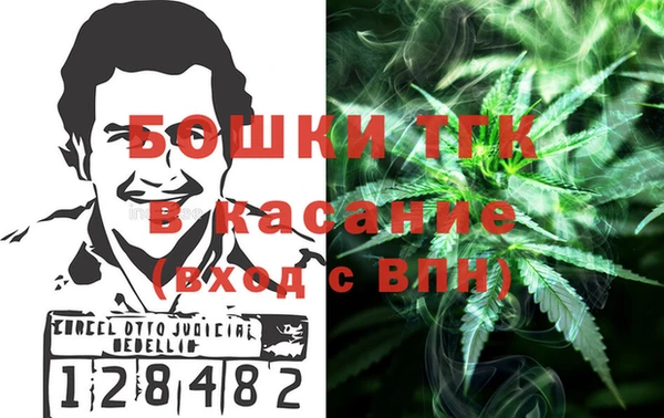 стафф Арсеньев
