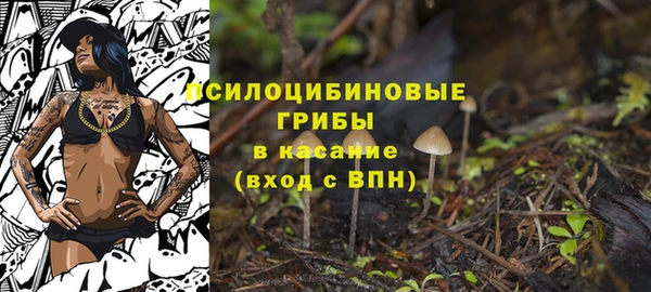 меф Армянск