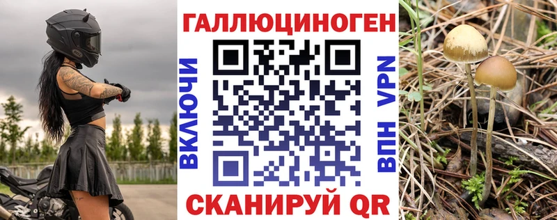 Галлюциногенные грибы Psilocybe  Тюкалинск 